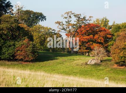 Herbstliche Wandteppiche im Burghley Park Stockfoto