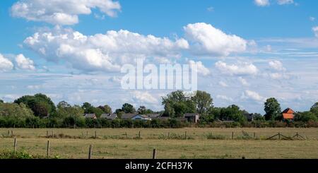 Holländische Häuser hinter einer holländischen Polderlandschaft im Ooijpolder, Niederlande Stockfoto