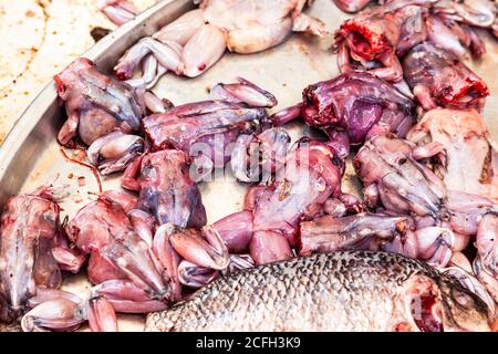 Frösche zum Verkauf in nassen Markt. Gehäutet, aber noch am Leben. Stockfoto