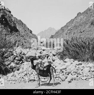Middle East History - Sinai über das Rote Meer Tor und Wady Hebran. Jebel Umm Shomer aus Wady Islei. Stockfoto
