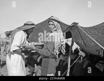 Middle East History - EIN Stammes-Mittagessen in Kavallerie-Post in Tel-el-Meleiha 20 Meilen nördlich von Beersheba Jan. 18 1940. Serviert das Abendessen Stockfoto