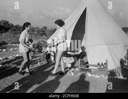 Originalunterschrift: Die Vintage-Saison Zikh'ron Ya'aqov Juli 24 1939. Lagermädchen räumen ihr Zelt auf - Ort: Israel--Zikhron YaÊ»aá¸³ov ca. 1939 Stockfoto