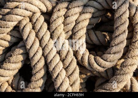 Klassisches Hochschiff mit Seiltakelung und Segeln. Stockfoto