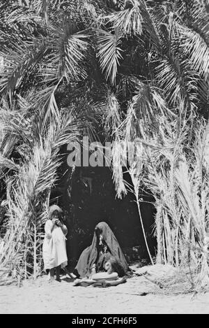 Bildunterschrift: Nach Sinai über das Rote Meer Tor und Wady Hebran. Heimische Hütte aus Palmenzweigen. - Lage: Sinai Ägypten ca. 1900 Stockfoto