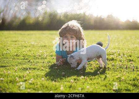 Junge mit Hund Welpen. Blonde glückliche Kind mit ihrem chihuahua doggy Porträt auf Rasen liegen. Stockfoto