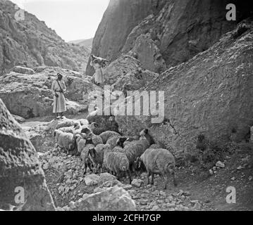 'Middel East History - Set von dreizehn ausgewählten Folien des Hirtenlebens illustrieren die dreiundzwanzigsten Psalm. 'Sicher Güte und Barmherzigkeit'' Stockfoto