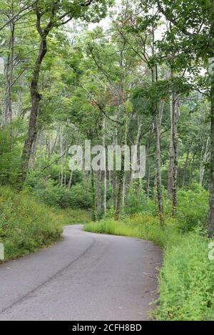 Der Roaring Forks Motorweg in Gatlinburg, Tennessee, im Great Smoky Mountains National Park in den Vereinigten Staaten. Stockfoto