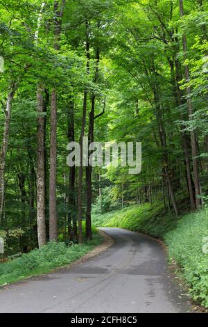 Der Roaring Forks Motorweg in Gatlinburg, Tennessee, im Great Smoky Mountains National Park in den Vereinigten Staaten. Stockfoto