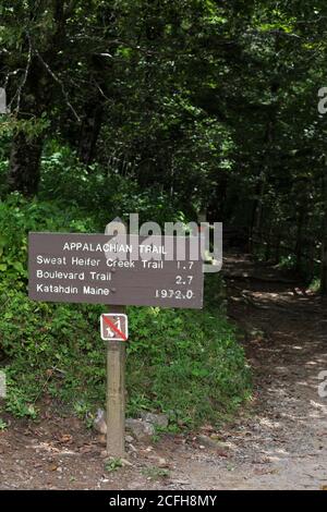 Ein Schild für den Appalachian Trail im Great Smoky Mountains National Park in den Vereinigten Staaten. Stockfoto