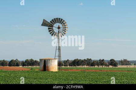 Bohrung Wasser Windmühle Pumpe mit Tank in ländlichen Australien, energiesparende Geräte für die Bewässerung und Fütterung von Nutztieren und Kulturen. Stockfoto