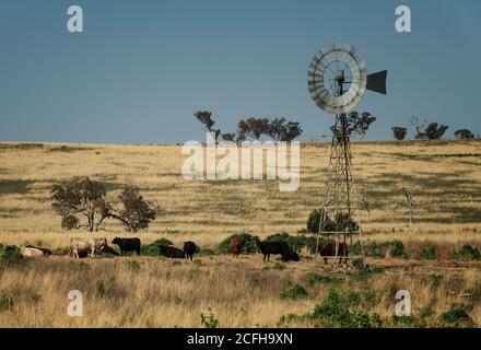 Bohrwasser Windmühle Pumpe im ländlichen Australien, energiesparende Geräte für die Bewässerung und Fütterung von Nutztieren und Kulturen. Stockfoto