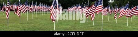 Memorial Day Flaggen im lokalen Park. Stockfoto