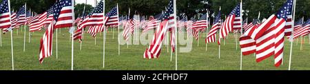 Memorial day amerikanische Flaggen im Park. Stockfoto