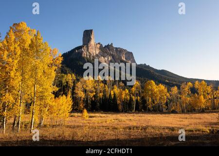 Aspen trees with fall colors at Owl Creek Pass, Colorado Stockfoto