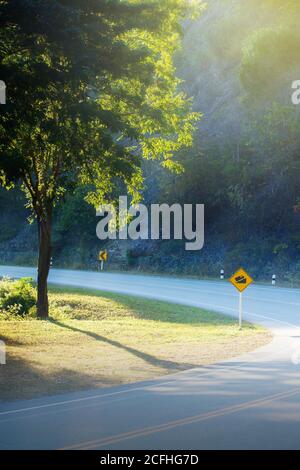 Eine leere Kurve Waldstraße und gelbe Straße Warnschilder bei Sonnenaufgang. Konzentrieren Sie sich auf die asphaltierte Straße. Stockfoto