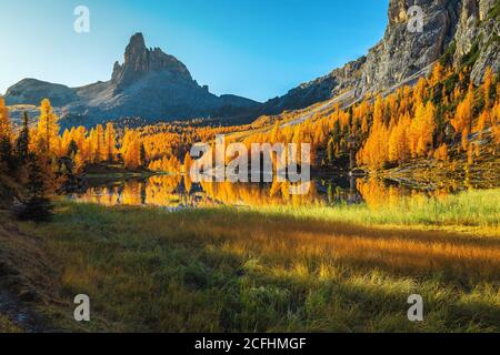 Majestätische Herbstlandschaft mit bunten Redwood Wald und berühmten See Federa in den Dolomiten, Italien, Europa Stockfoto