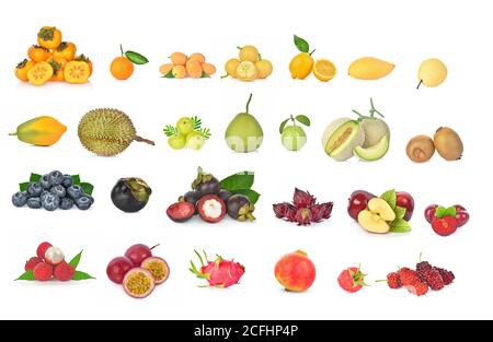 Kreatives Layout aus Früchten isoliert auf weißem Hintergrund Stockfoto