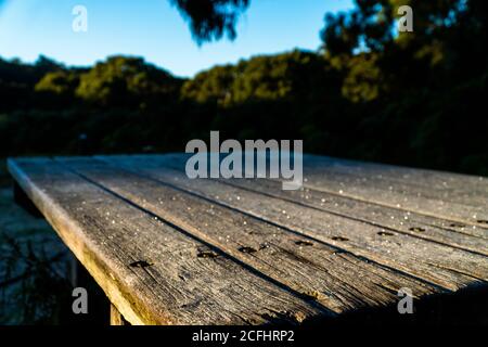 Gefrorene Holzbasis am Morgen Stockfoto
