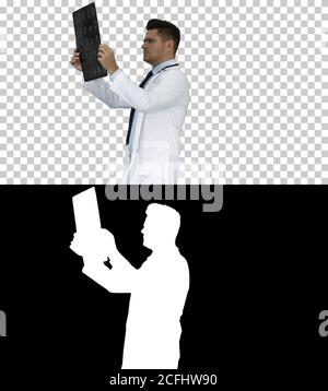 Medizinisches Personal im weißen Labormantel, Blick auf Röntgenbild, CT-Scan, mrt beim Gehen, Alpha-Kanal Stockfoto