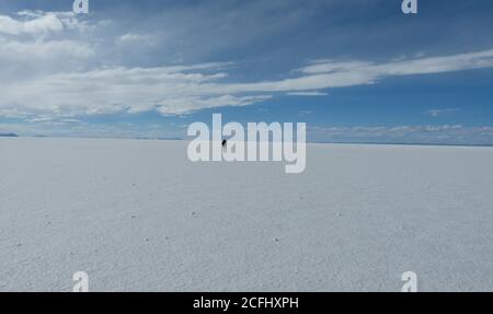 Der Salar de Uyuni ist eine der phänomenalsten Attraktionen Südamerikas. Weite Weite von weißem, glitzerndem Salz. Salar de Tunupa, Bolivien. Salzwüste. Stockfoto