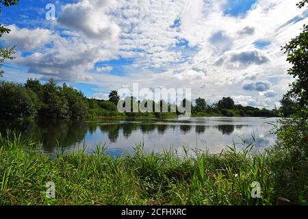 Lackford Lakes, Nature Reserve, Suffolk, Großbritannien Stockfoto