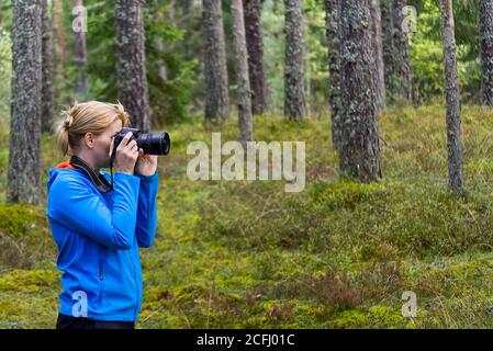Junge Frau Trekking zwischen Bäumen und fotografieren mit der Kamera. Frau mittleren Alters Fotografin fotografieren im Herbst Wald. Naturfotografie. Stockfoto