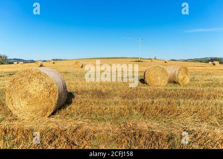 Landschaft mit einem Feld von Strohrollen, blauer Himmel. Sonniger Sommertag auf dem Bauernhof. Sommermorgen auf dem Bauernhof. Landwirtschaftliche Landschaft in der Tschechischen Republik Stockfoto