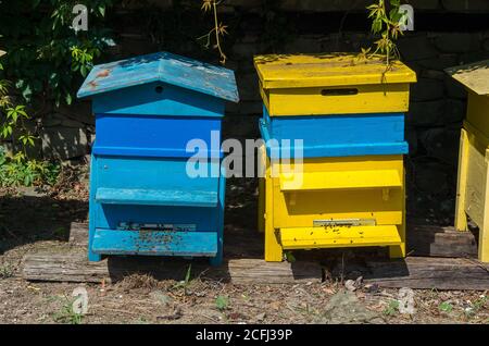 Hölzerne Bienenstöcke in einem Hinterhof Stockfoto