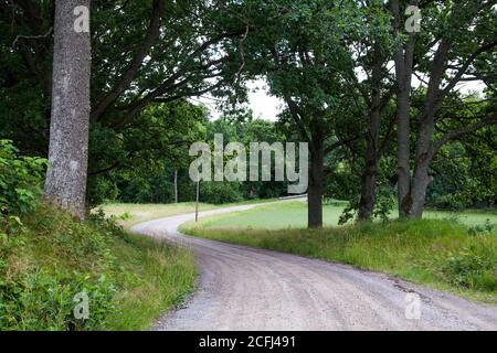 SCHOTTERSTRASSE durch Laubwald im Södermanland Stockfoto