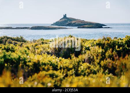 Wilde Meereslandschaft auf dem Pfad des 'Sentier des douaniers', in Kap Corse, Korsika Stockfoto