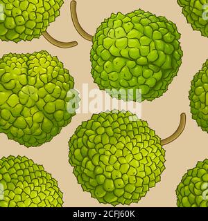 calodendrum-Vektormuster Stock Vektor