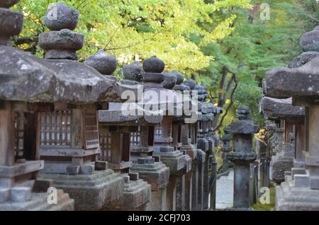 Steinlaternen mit Moos bei Kasuga Taisha im Schrein, Nara, Japan Stockfoto