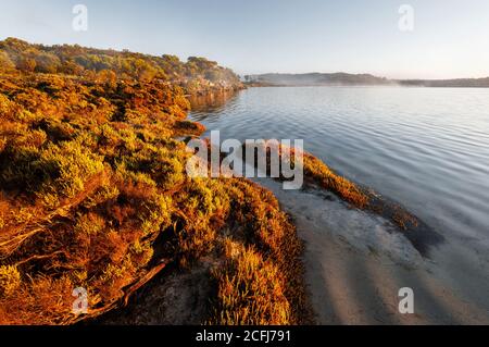 Ein nebliger Morgen in Yangie Bay im Coffin Bay National Park. Stockfoto