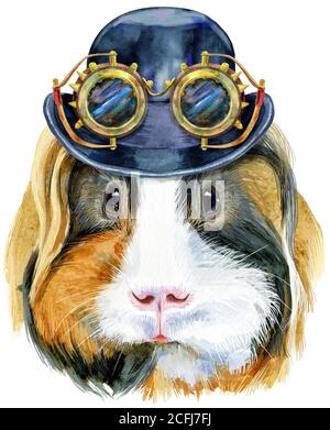 Meerschweinchen mit Hutbowler und Steampunk-Gläser. Pig für T-Shirt Grafiken. Aquarell Sheltie Meerschweinchen Illustration Stockfoto