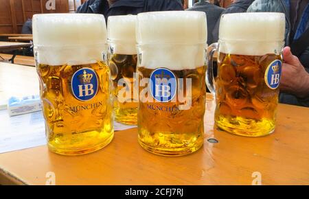 München, Bayern, Deutschland. 2017 Oktoberfest Messegelände. Vier Maß Bier im HB-Festzelt. Stockfoto