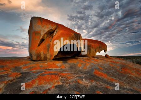 Berühmte Remarkable Rocks sind ein beeindruckendes Merkmal auf Kangaroo Island. Stockfoto