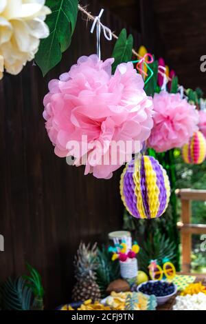 Tropische Party-Dekorationen. Bunte Papier Pom Poms, tropische Themen-Party. Gartenparty. Stockfoto