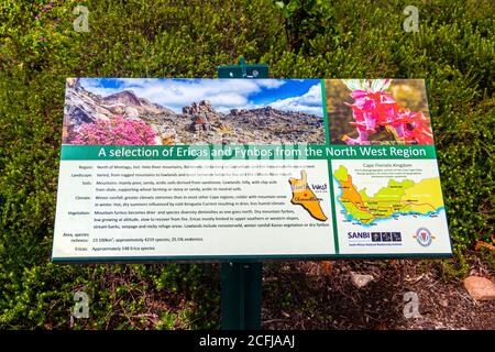 Fynbos und Ericas grün türkis Informationsschild in Kirstenbosch, Kapstadt, Südafrika. Stockfoto