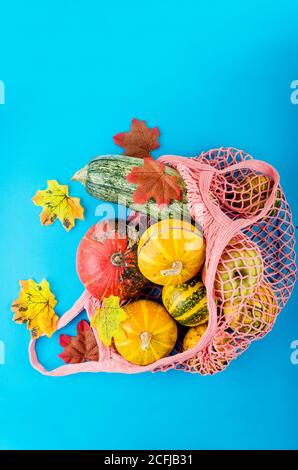 Herbstkomposition mit Kürbissen in Mesh-Einkaufstasche Stockfoto