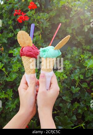 Hand hält zwei Eis auf dem Hintergrund mit Blumen und Blätter Stockfoto