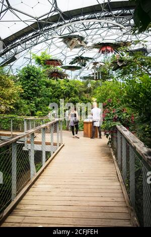 Besucher im Regenwald Biome im Eden Projektkomplex in Cornwall. Stockfoto