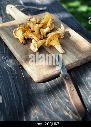 Gelbe Pfifferlinge (cantharellus cibarius) auf Schneidebrett mit Messer. Rustikaler Holzhintergrund mit Kopierraum. Stockfoto