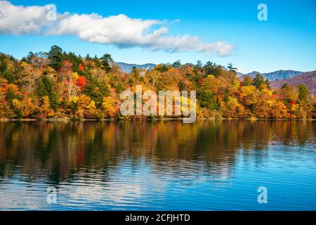 Herbstlaub in den Bergen rund um den Chuzenji-See in Nikko, Japan. Stockfoto