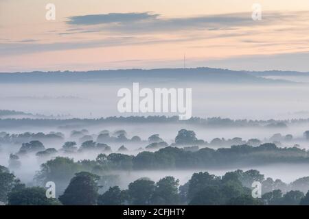 Am frühen Morgen hängt Nebel über dem Tal in Duncton, West Sussex Stockfoto