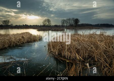 Trockenes Schilf in einem gefrorenen See und Wolken bei Sonnenuntergang Stockfoto