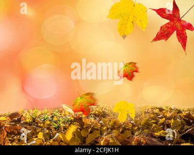 Herbsthintergrund mit Bokeh und fallenden Blättern Stockfoto