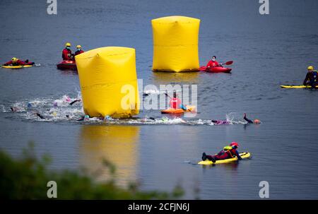 Hamburg, Deutschland. September 2020. Triathlon: ITU World Triathlon Series/World Championship, gemischt. Im Stadtparksee schwimmt die erste Teilnehmergruppe des WM-Rennens. Quelle: Axel Heimken/dpa/Alamy Live News Stockfoto