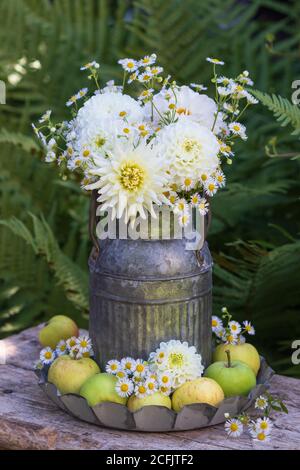 Bouquet von weißen Dahlien und Astern in Vintage Vase Stockfoto