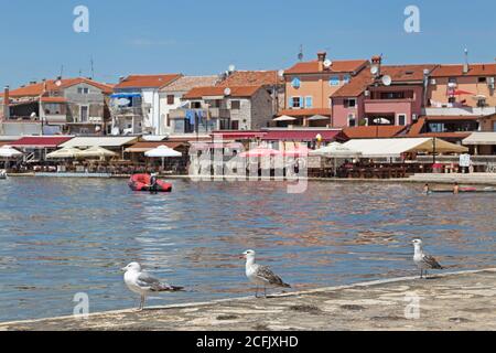 Strand, Umag, Istrien, Kroatien Stockfoto