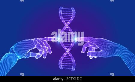 Wireframe DNA Sequenz Moleküle Struktur Netz. Hände des Roboters und des Menschen berühren auf DNS, die in der virtuellen Schnittstelle auf Zukunft verbinden. Künstlich Stock Vektor